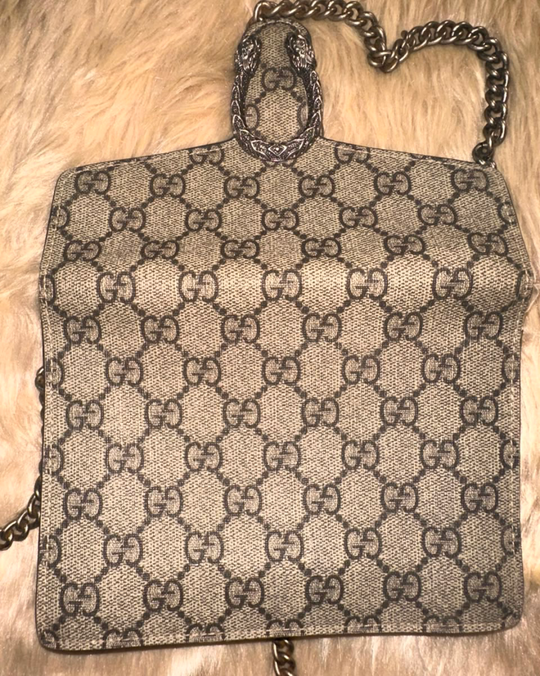 Gucci Dionysus - full bag view