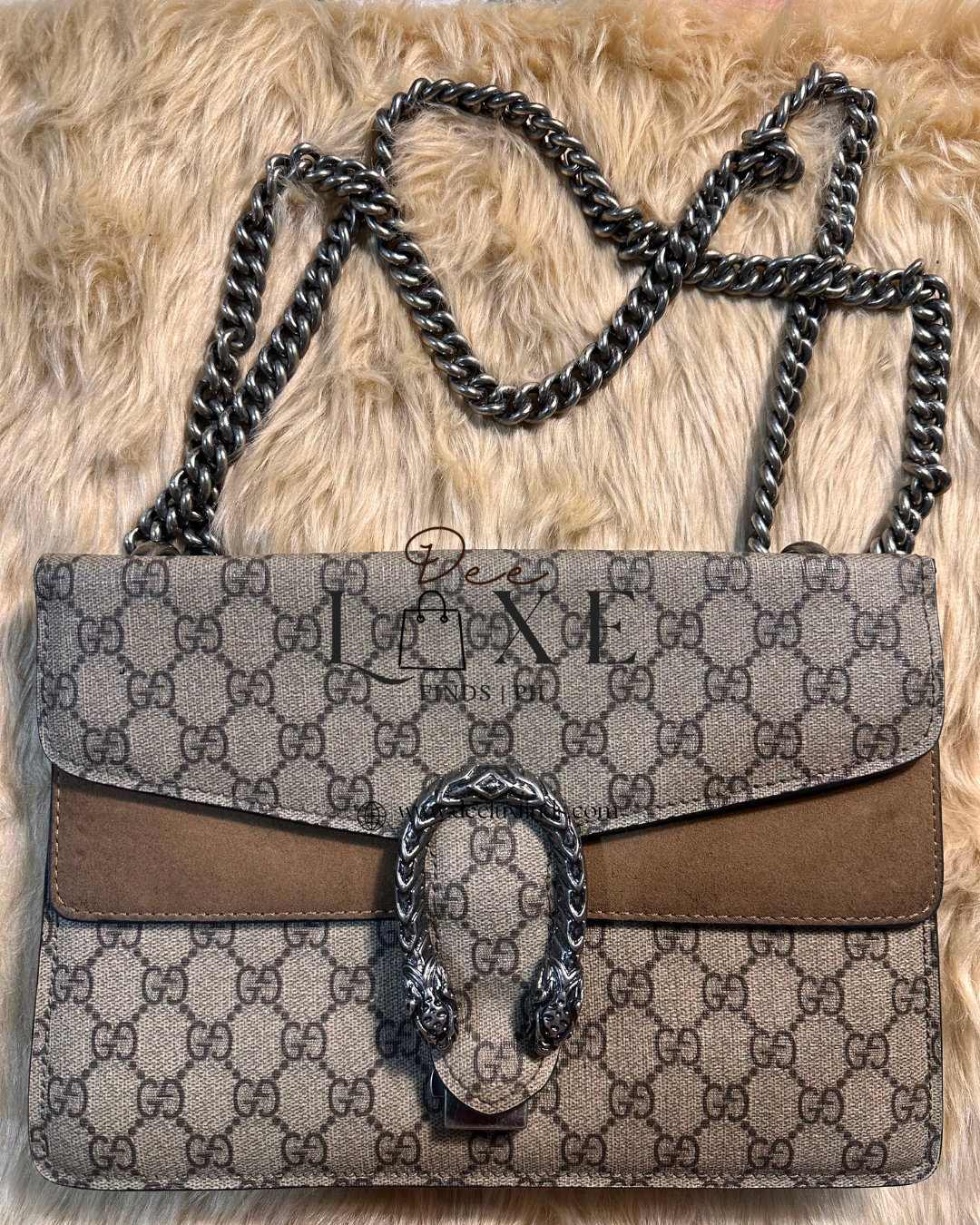 Gucci Dionysus - interior GG canvas