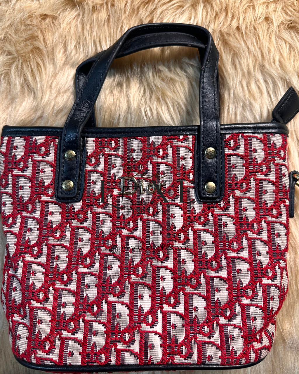 Dior Trotter Mini Tote - front view
