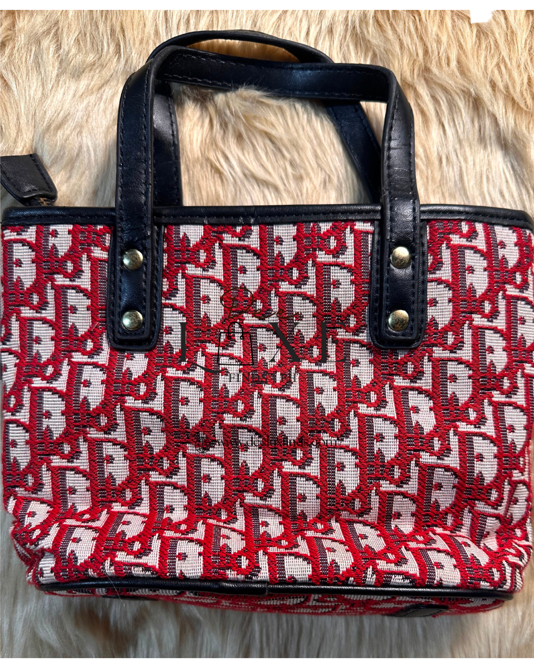 Dior Trotter Mini Tote - back view