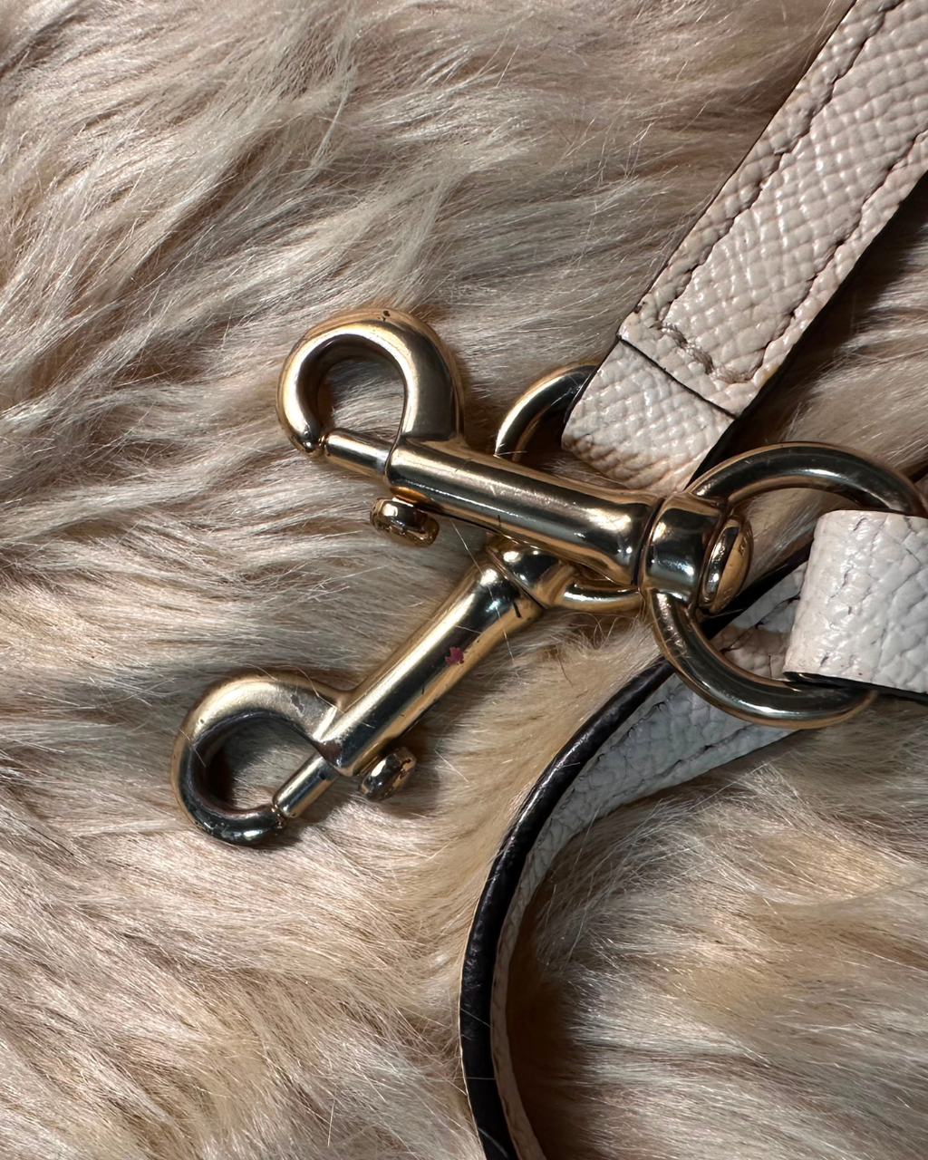 Dior Trotter Mini Tote - strap hardware detail