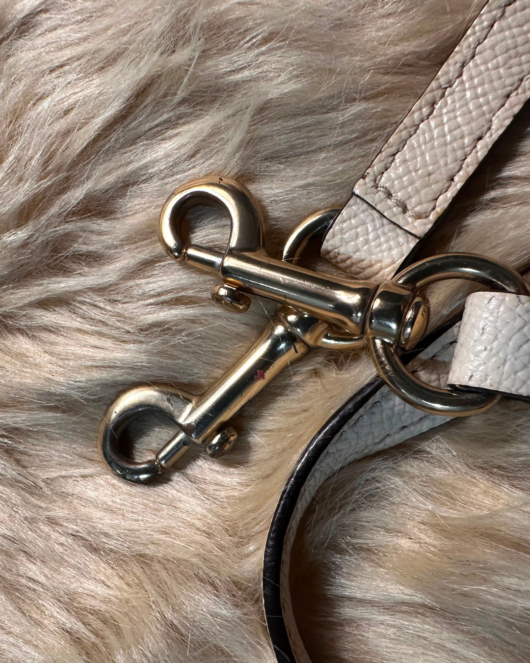 Dior Trotter Mini Tote - strap hardware detail