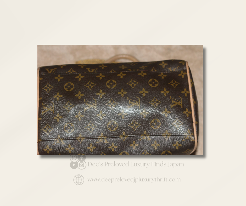 Louis Vuitton Speedy — Monogram Canvas