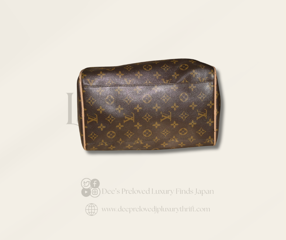 Louis Vuitton Speedy — Monogram Canvas