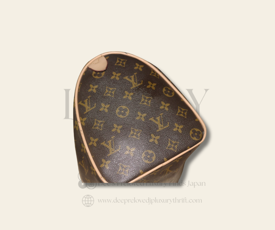 Louis Vuitton Speedy — Monogram Canvas