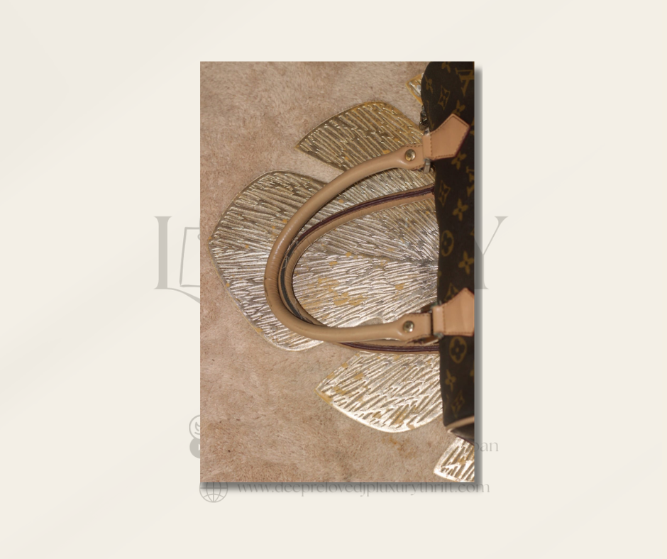 Louis Vuitton Speedy — Monogram Canvas