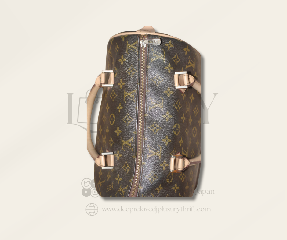 Louis Vuitton Speedy — Monogram Canvas