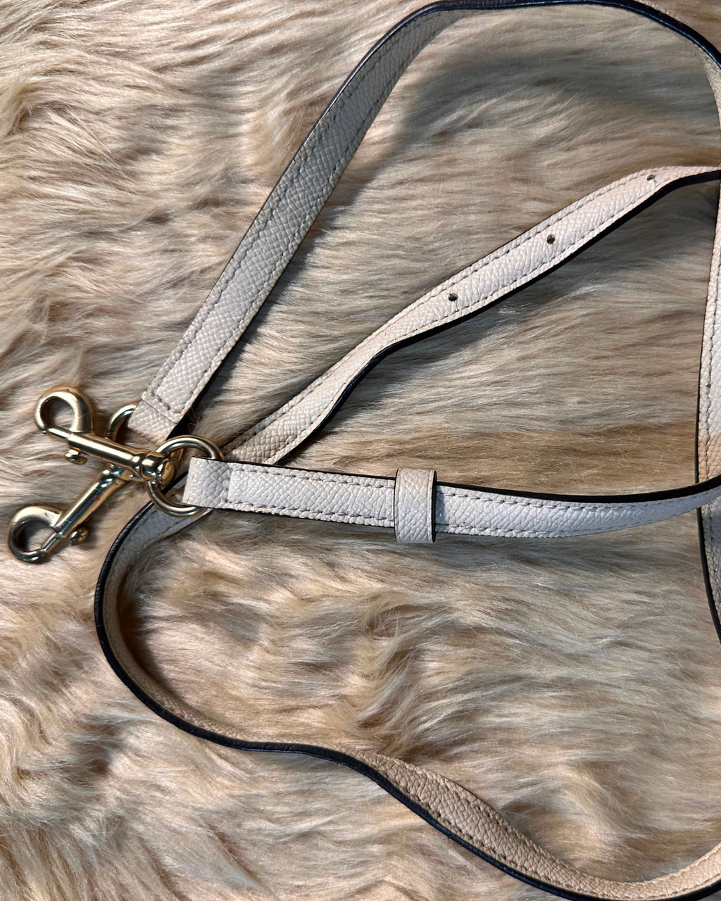 Dior Trotter Mini Tote - crossbody strap