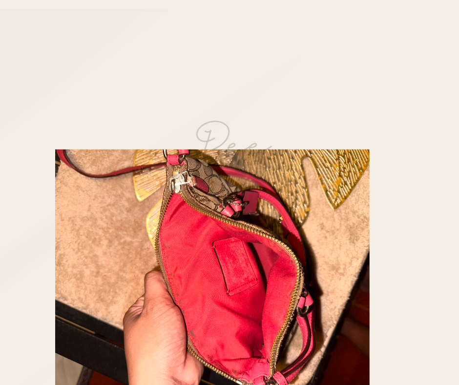 Coach Small Kelsey Satchel — Vintage Pre-Loved